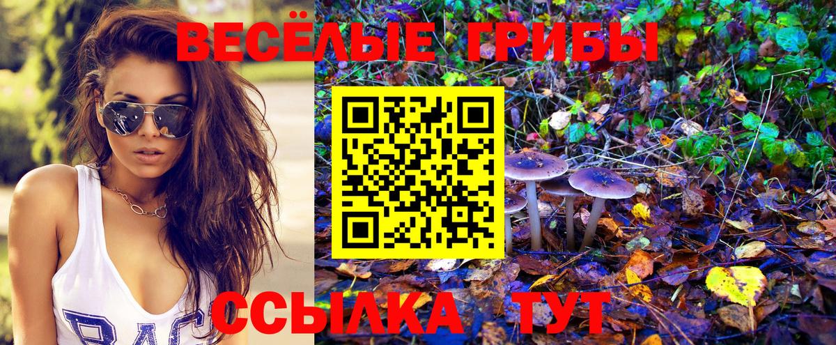 Псилоцибиновые грибы мухоморы  Псилоцибиновые грибы Psilocybe  Вход с VPN  Чусовой 