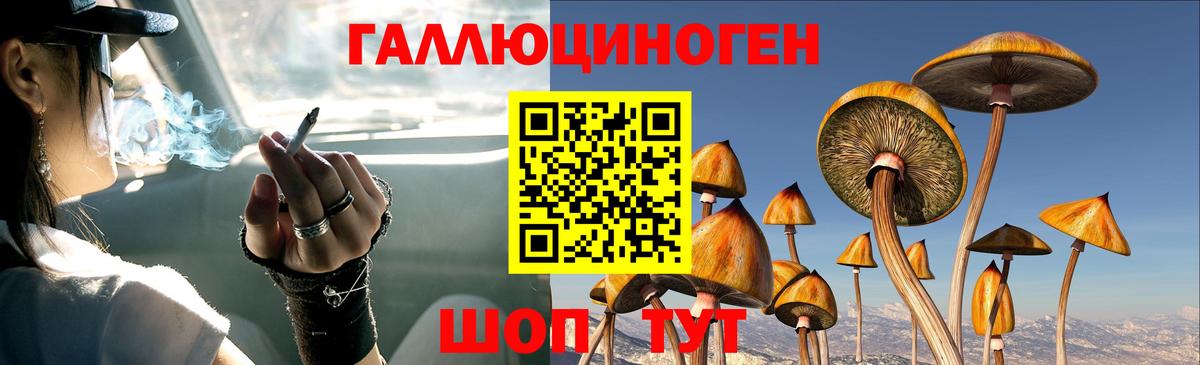 Галлюциногенные грибы прущие грибы Чусовой